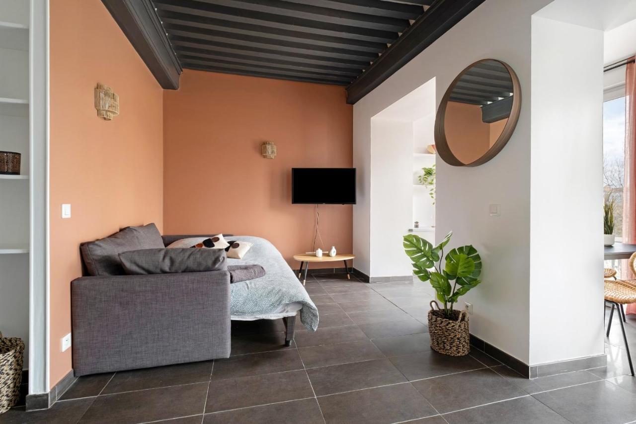 Lyon Cite- Appartement Vue Rhone Terrasse-Caluire Екстер'єр фото
